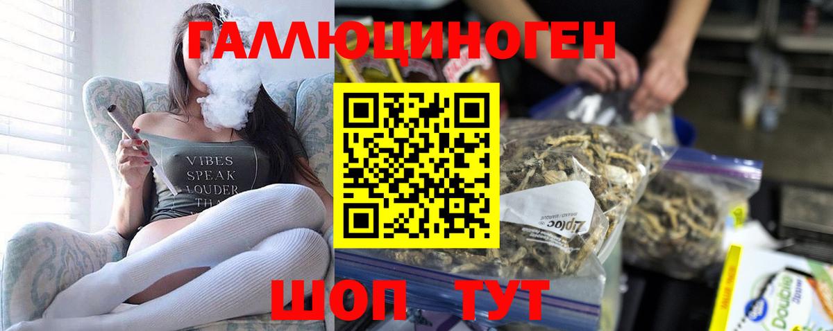 Галлюциногенные грибы прущие грибы Вятские Поляны